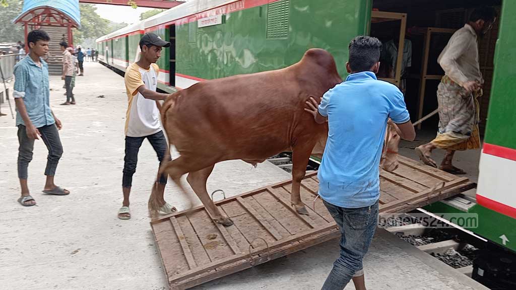 কোরবানির পশু নিয়ে চাঁপাইনবাবগঞ্জ থেকে ঢাকার পথে ক্যাটল স্পেশাল ট্রেন