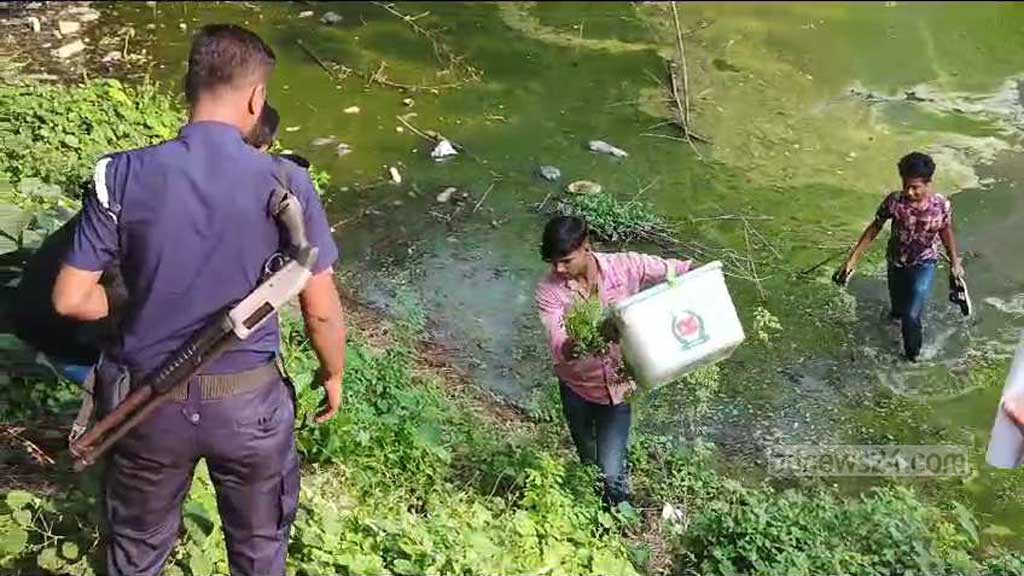 আখাউড়ায় ব্যালট বক্স ছিনতাইয়ের পর পুকুরে ফেলল যুবক