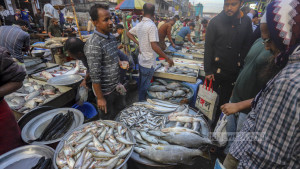 Jatrabari fish market