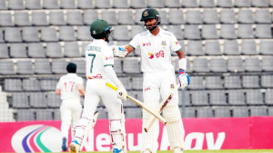 Joy gone but Tigers in lead after rain-break