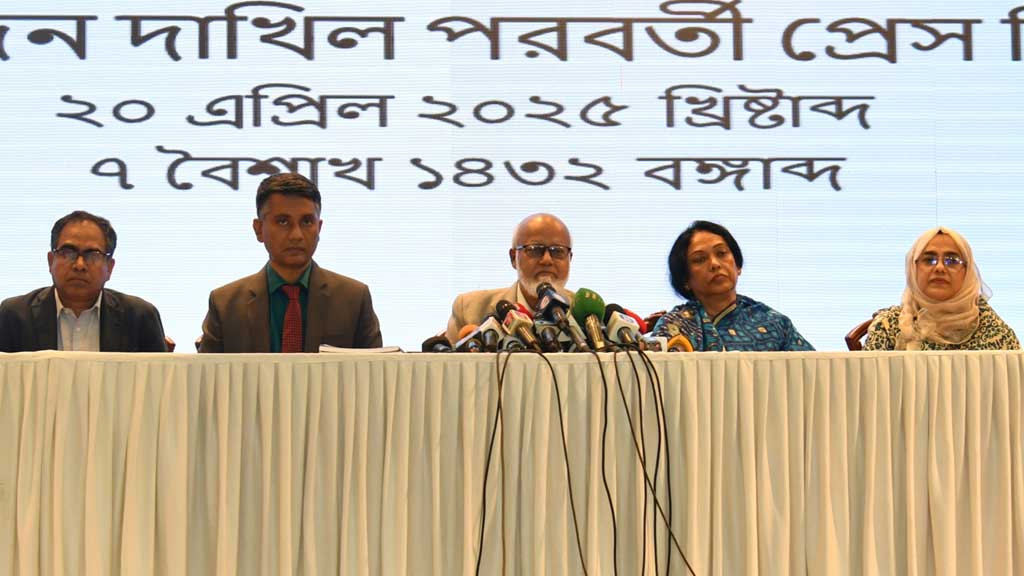 Commission proposes councils without chairmen for local govt