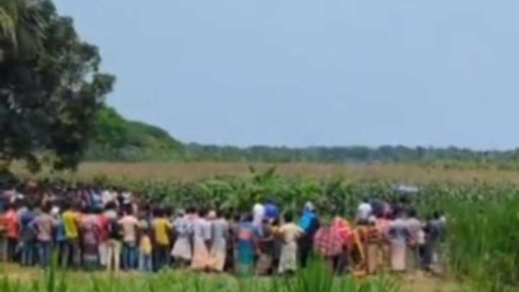 পাবনায় ভুট্টা ক্ষেতে পড়ে ছিল শিশুর লাশ