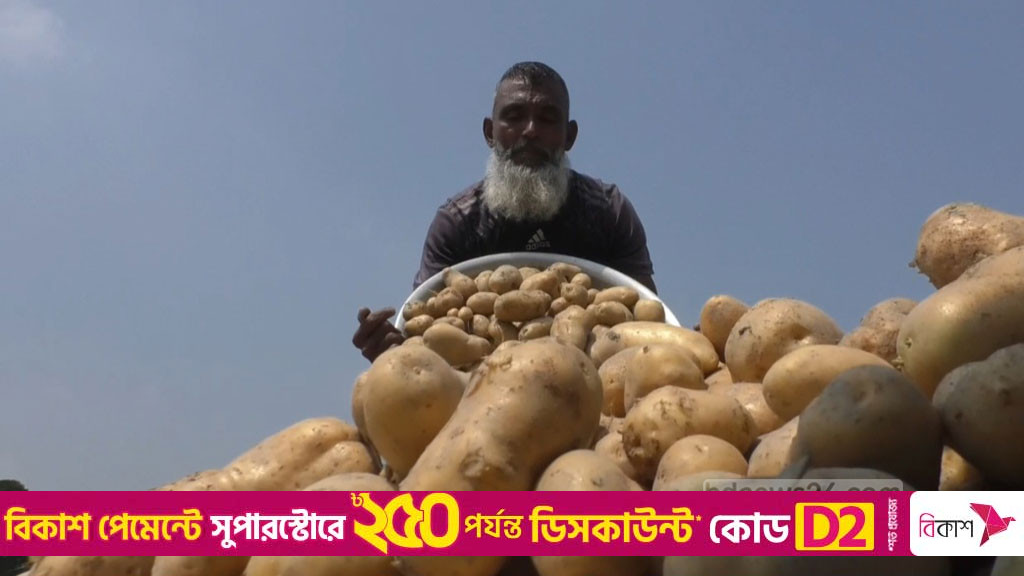 হিমাগারে আলুর দাম কেজিতে ২২ টাকা বেঁধে দিল সরকার