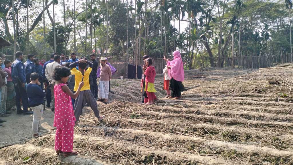 বরিশালে ইউপি সদস্যের পানবরজ পুড়িয়ে দেওয়ার অভিযোগ