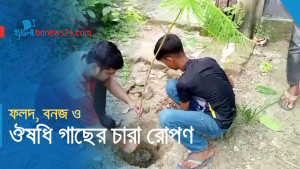 বগুড়ায় বৃক্ষরোপণ কর্মসূচি