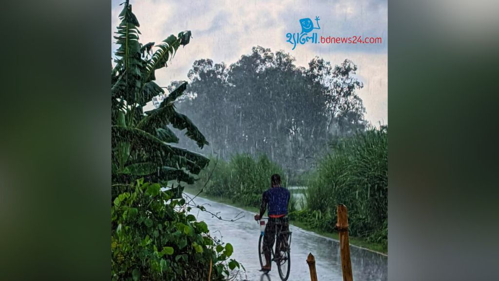 বাদলা দিনে...