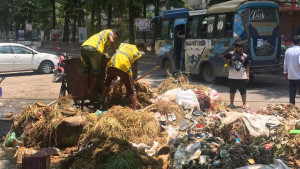 Cattle waste cleared from Ctg by 6pm on Eid day: mayor
