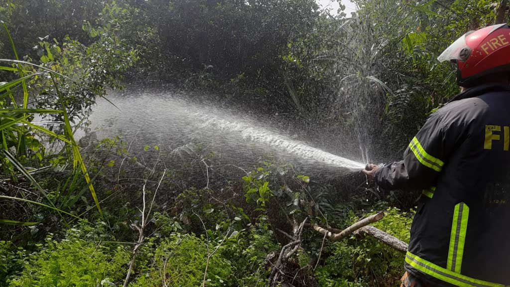 সুন্দরবনে শাপলারবিলের আগুন নিভুনিভু, ছড়িয়েছে ৪ একর