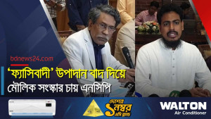 গণতান্ত্রিক রাষ্ট্র প্রতিষ্ঠায় এনসিপির রূপরেখা সহায়ক হবে: আলী রীয়াজ
