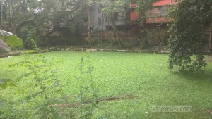 বিদ্যালয় ভবনের জন্য শতবর্ষী পুকুর ভরাটের প্রস্তুতি