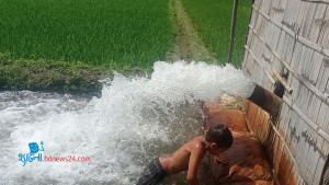 প্রশান্তির জলকেলি