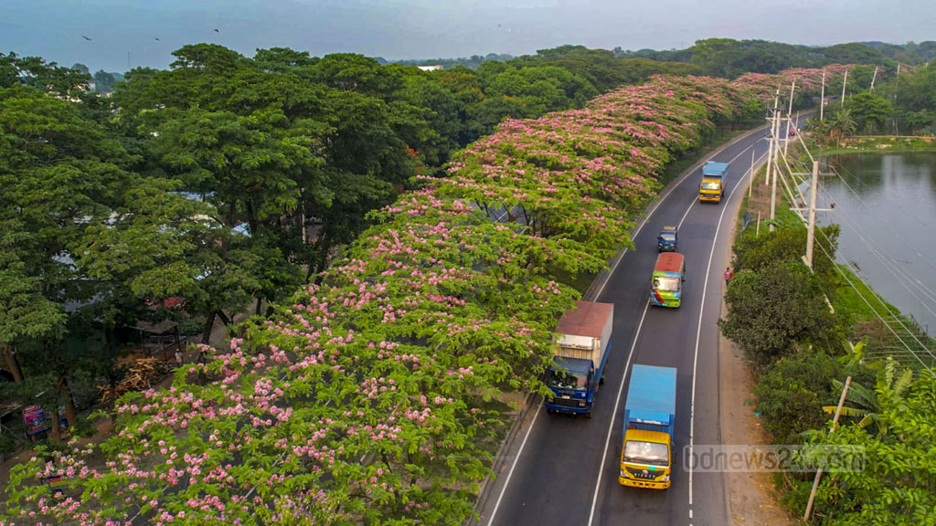 Porno kompilyatsiya: katta xoroz kamming ichida eshak, orgazm