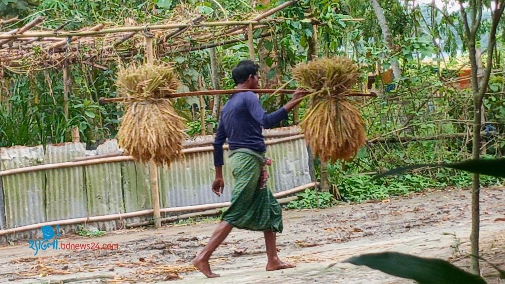 ফসল ঘরে তোলা