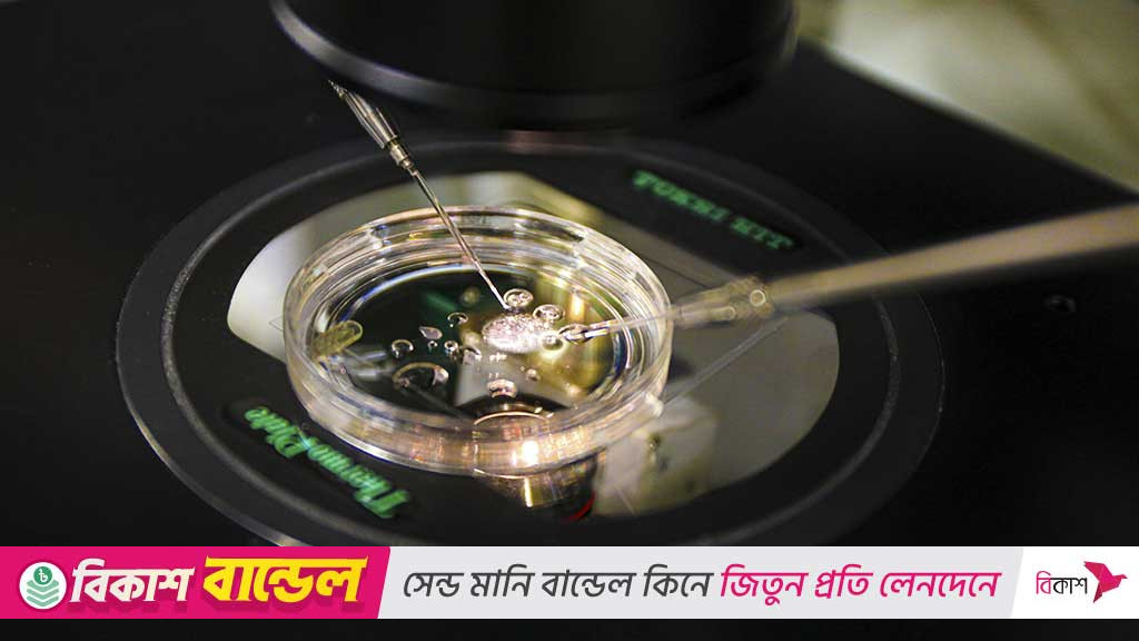 এই প্রথম মানুষের ত্বকের ডিএনএ থেকে ভ্রূণ তৈরি করলেন বিজ্ঞানীরা