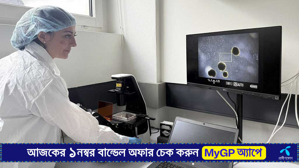 শক্তিশালী কম্পিউটার চলবে ক্ষুদ্র কৃত্রিম ‘মানব মস্তিষ্কে’?