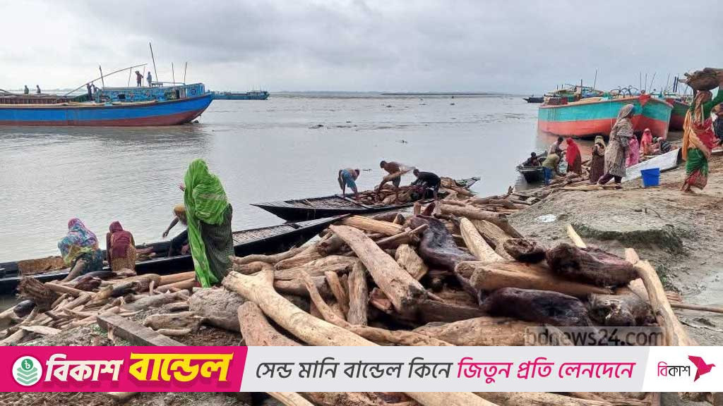 উজানের ঢল: দুধকুমার ও ব্রহ্মপুত্র নদে ভেসে আসছে গাছের গুঁড়ি