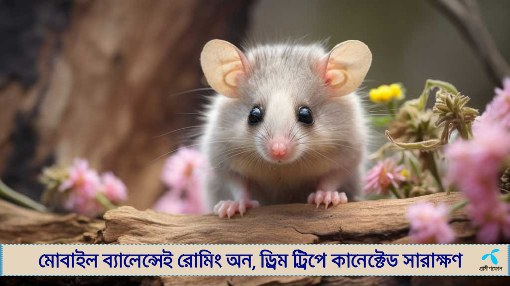 ইঁদুরদের মন ‘পড়তে পারা’র দাবি বিজ্ঞানীদের