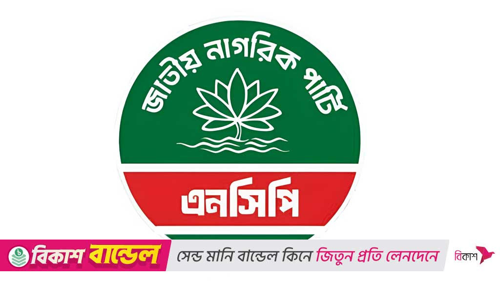কেন শাপলাই চায়, ব্যাখ্যা দিল এনসিপি