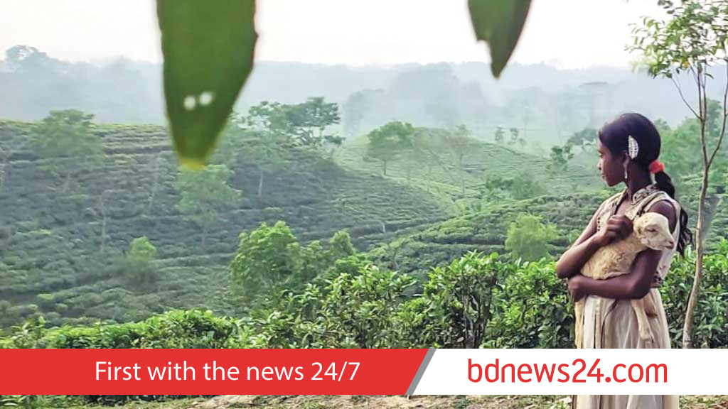 যুক্তরাষ্ট্রের এমা অ্যাওয়ার্ডে পুরস্কার জিতল দেশের ‘নিশি’