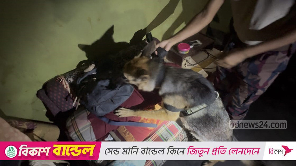 টেকনাফে ডগ স্কোয়াডের সহায়তায় ইয়াবাসহ রোহিঙ্গা দম্পতি আটক
