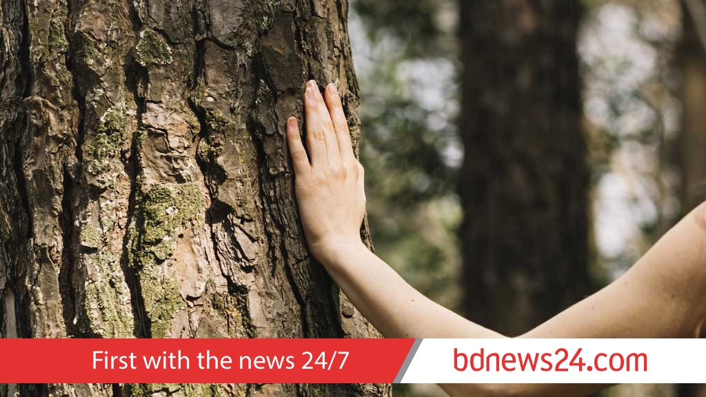 শান্ত থাকতে প্রকৃতির মাঝে মননশীল ঘোরাঘুরি