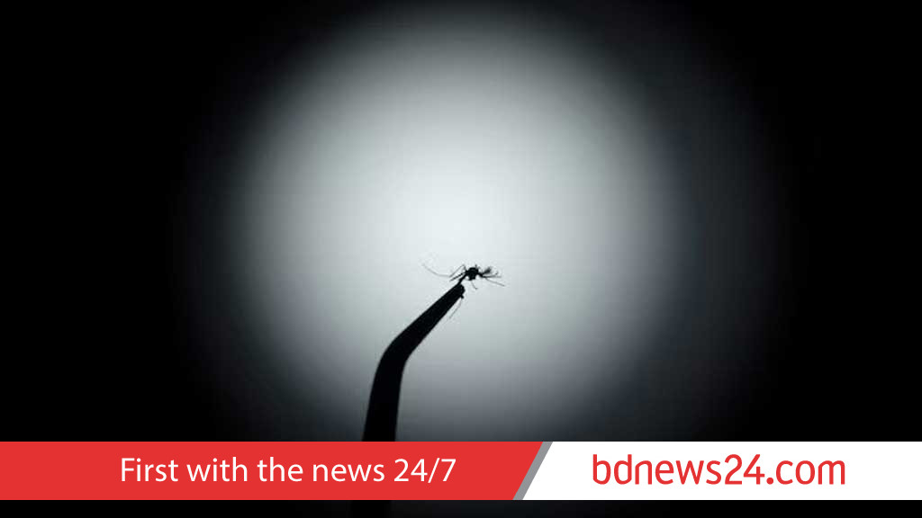 মশার মাধ্যমে ১৪ কোটি মানুষকে ডেঙ্গু থেকে রক্ষার চেষ্টায় ব্রাজিল