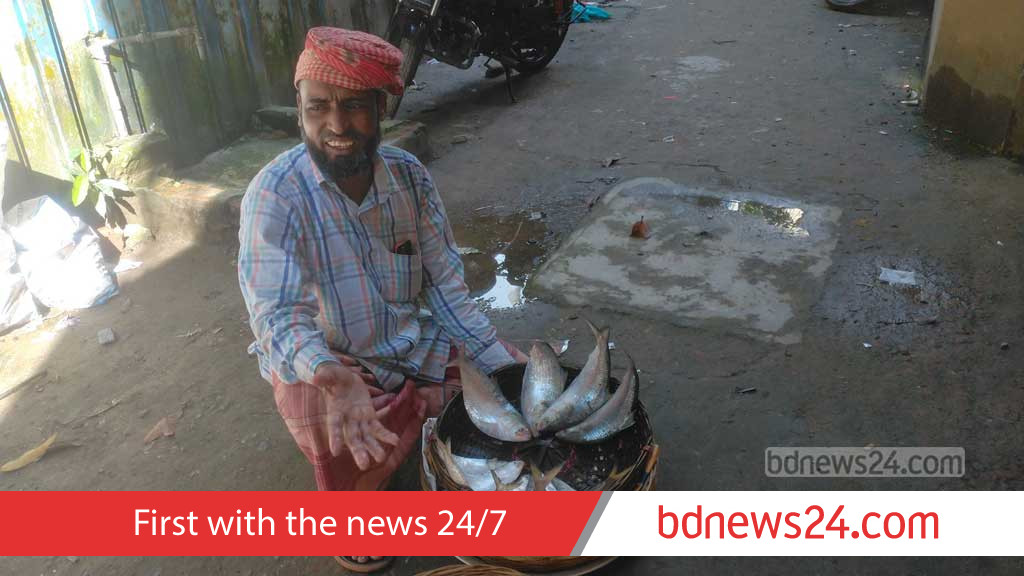 ডিম ছাড়তে নদীতে আসছে ইলিশ, নিষেধাজ্ঞা শুরু ৪ অক্টোবর