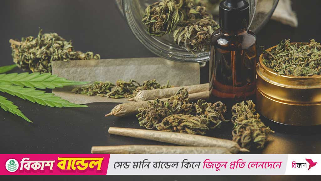 দৈনিক গাঁজা সেবনে হাঁপানির ঝুঁকি বাড়ে ৪৪ শতাংশ: গবেষণা