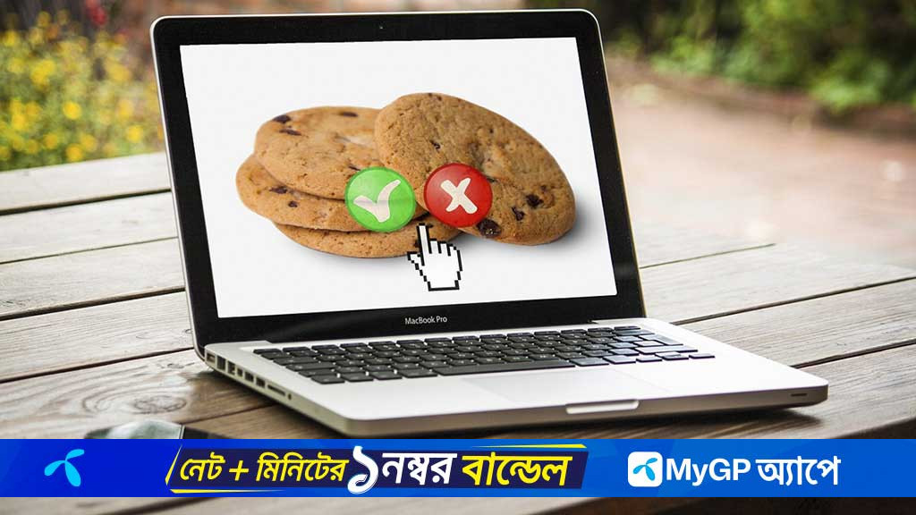 কুকি ‘একসেপ্ট’ না কি ‘রিজেক্ট’, কোনটা করা উচিত?