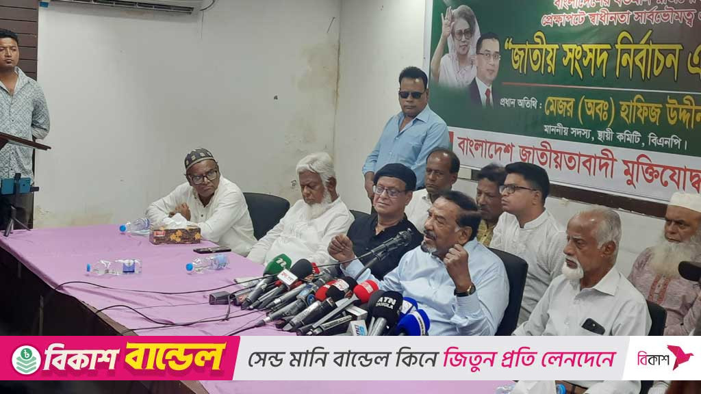 বিএনপি কোনো দুর্বল দল নয়, ফেব্রুয়ারিতেই নির্বাচন: হাফিজ