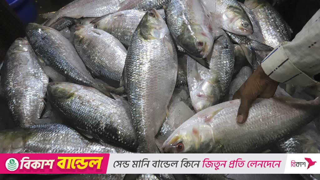 ভারতে ইলিশ রপ্তানির অনুমতি পেল ৩৭ কোম্পানি