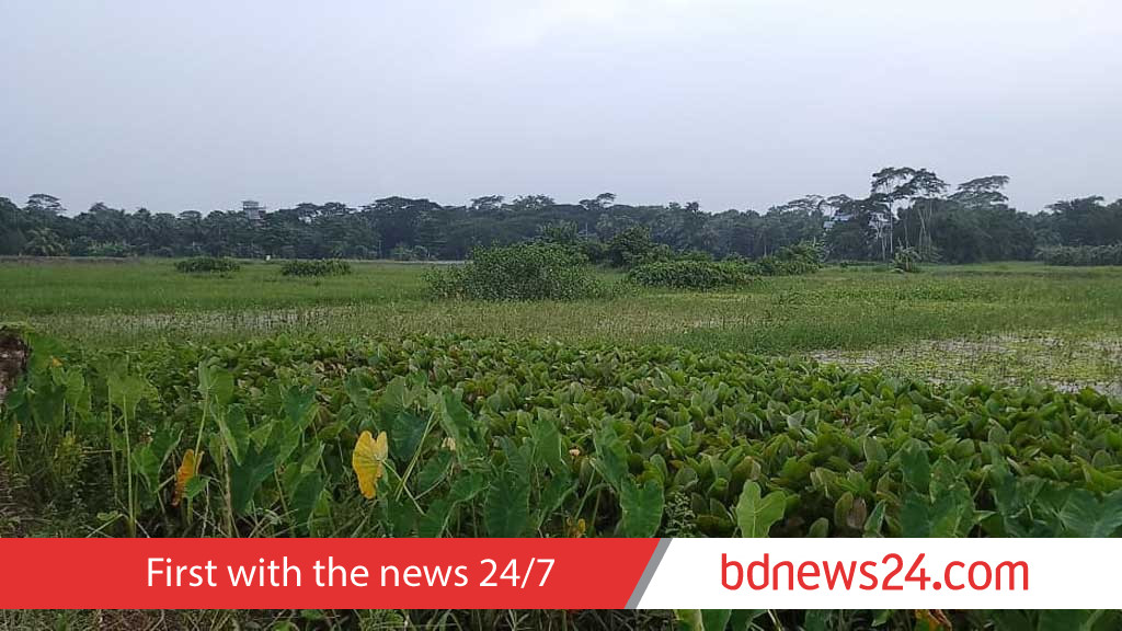 খাল-বিল খেয়ে ফেলা উন্নয়নের গল্প