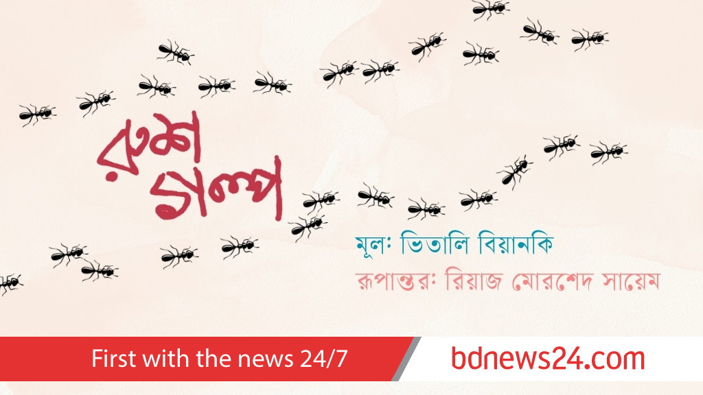 ভিতালি বিয়ানকির গল্প: পিঁপড়ের বাড়ি ফেরা