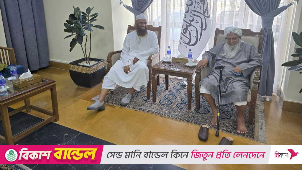 তালেবানের আমন্ত্রণে আফগানিস্তানে মামুনুলসহ ৭ আলেম