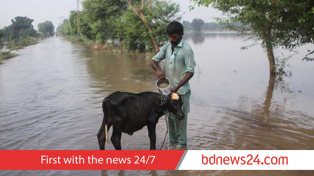 পাকিস্তানের পাঞ্জাবে বন্যায় ৪১০০ গ্রামের ৪১ লাখ মানুষ ক্ষতিগ্রস্ত