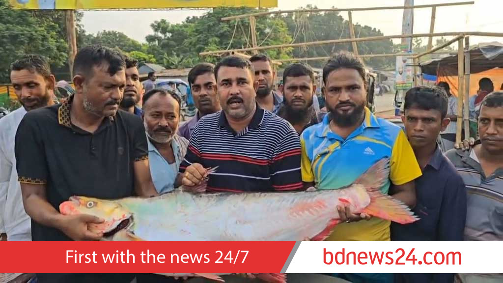 পদ্মার এক ‘ঢাই’ মাছ বিক্রি হল ১ লাখ টাকায়