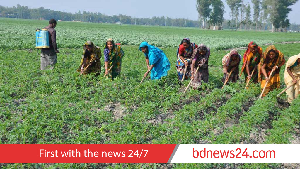 নদীভাঙা মানুষের হাতেই উত্তরাঞ্চলের অর্থনীতির চাবিকাঠি