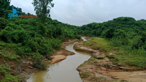 সবুজের হাতছানি