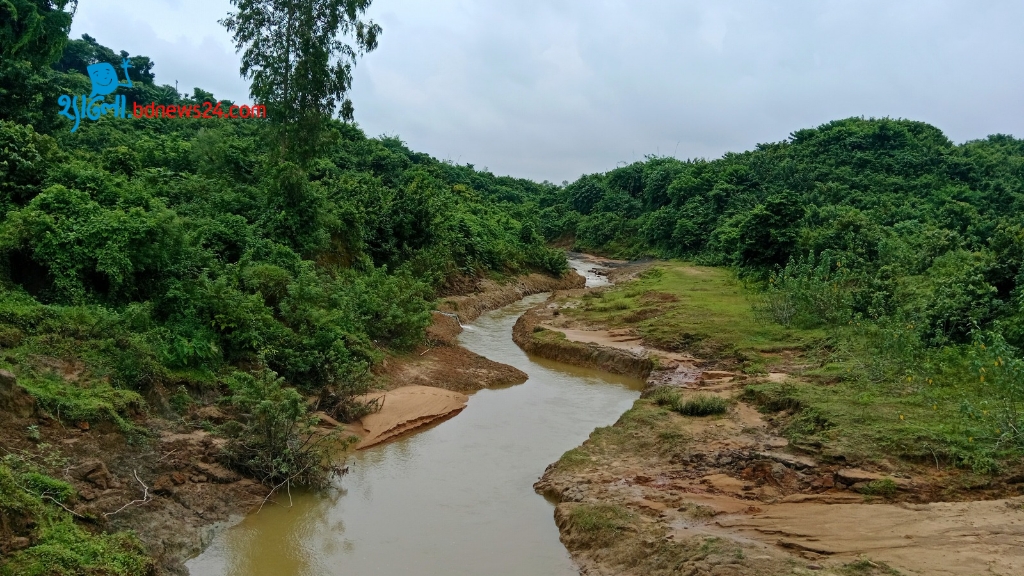 সবুজের হাতছানি