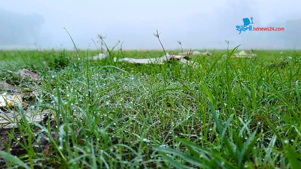 নীলফামারীতে শীতের আগমনী বার্তা