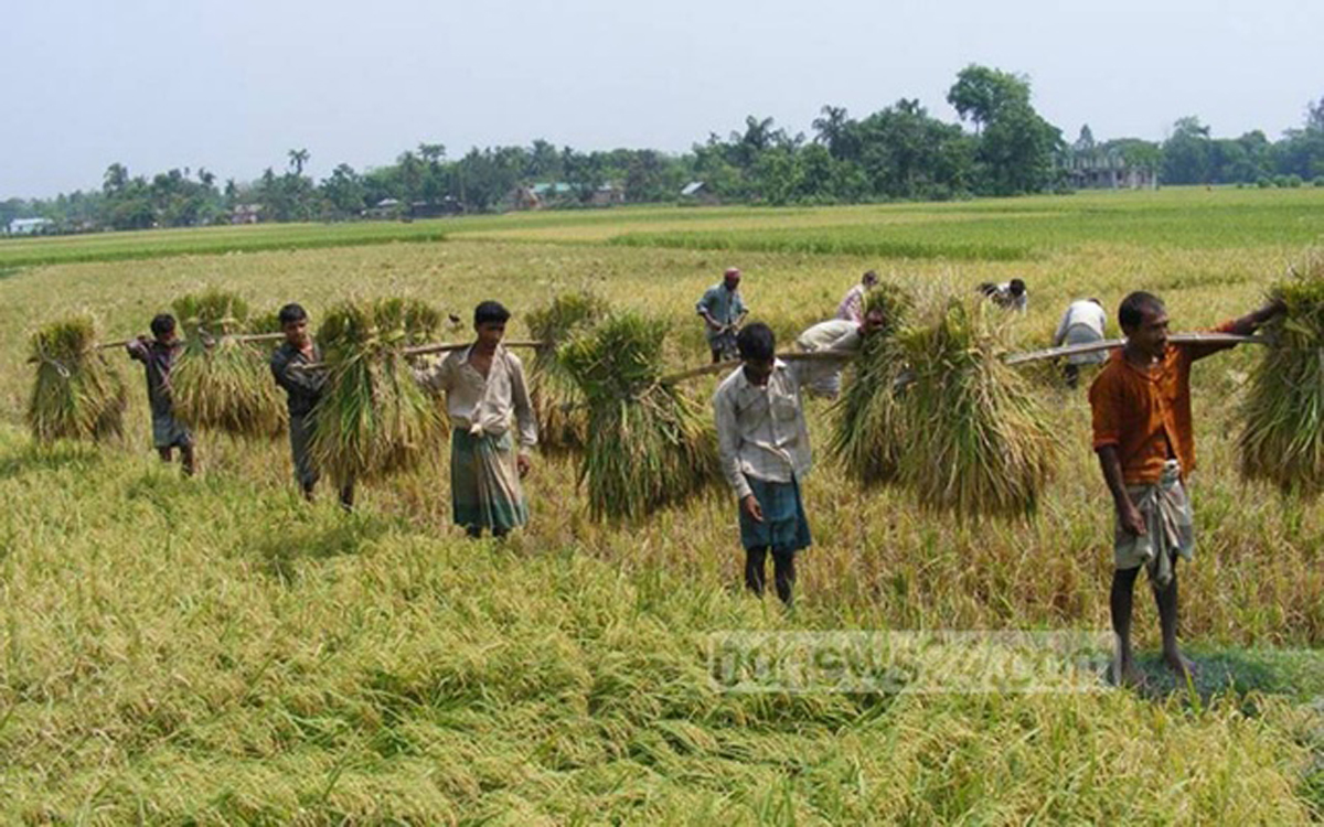 বাংলাদেশের অর্থবছর প্রসঙ্গ
