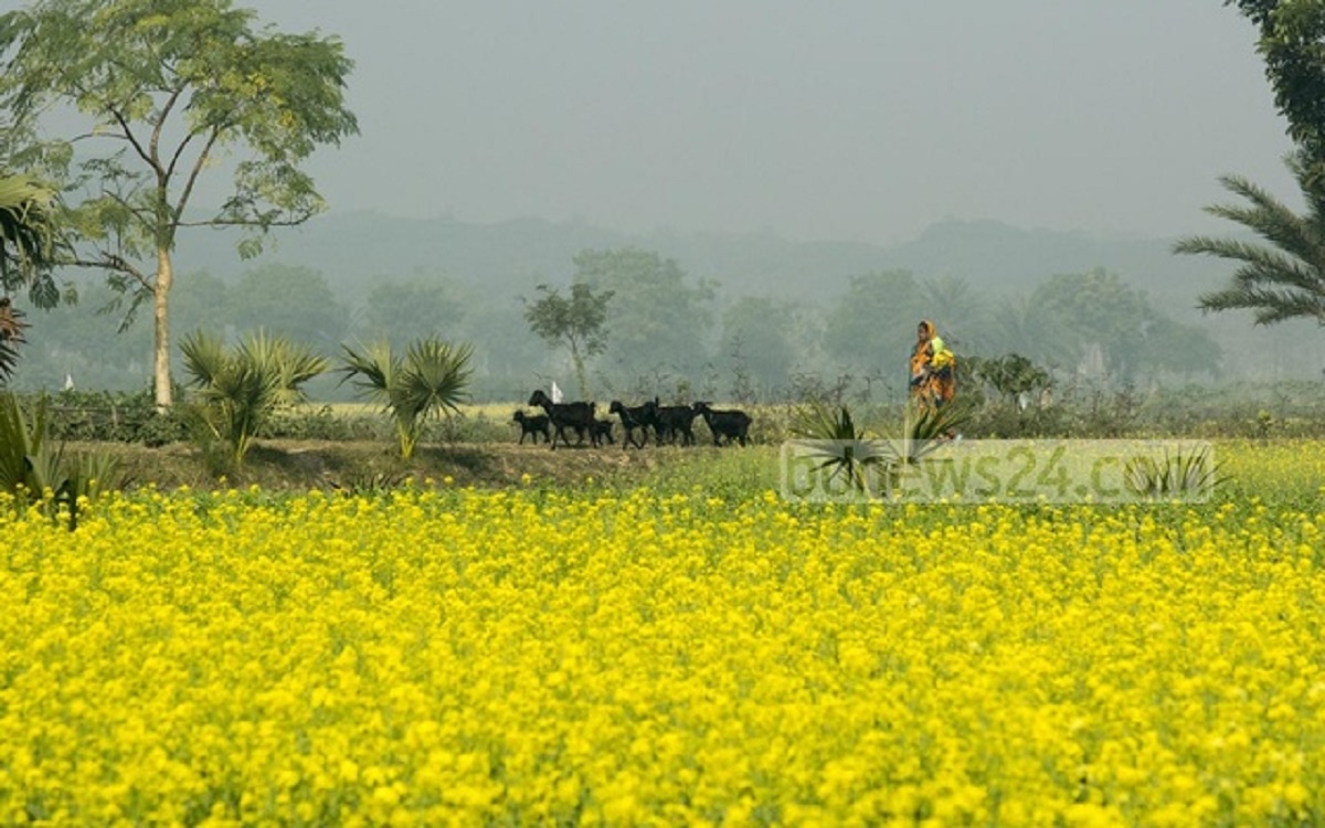 ‘আমার গ্রাম – আমার শহর’: সে শহর কেমন শহর?