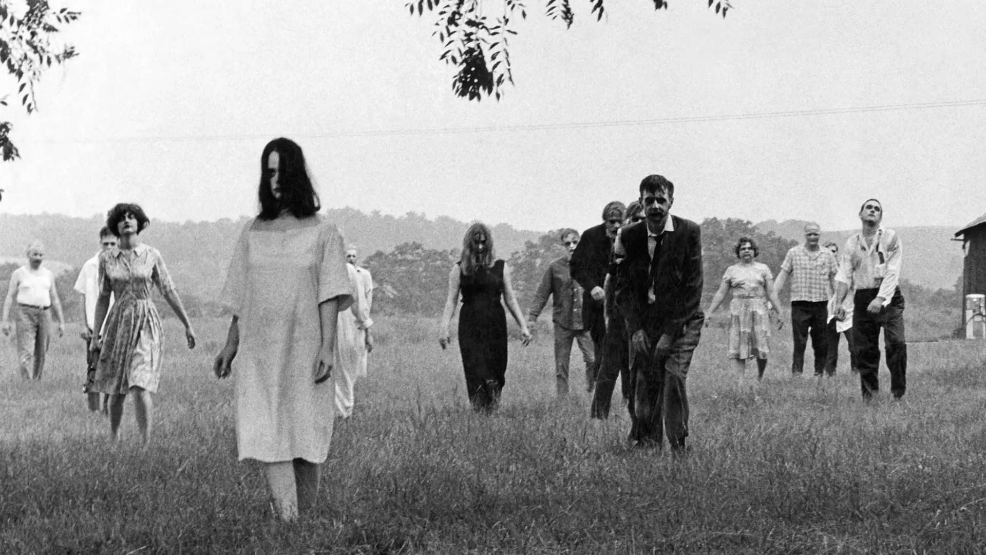 A still from the 1968 film 'Night of the Living Dead'. Image Ten