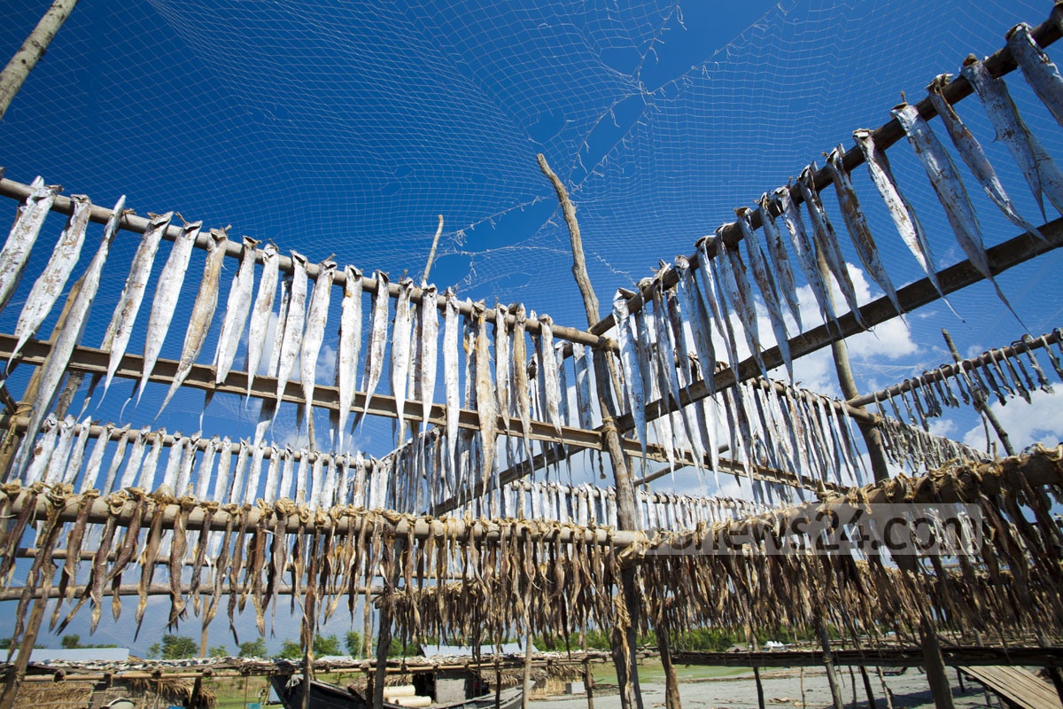 Porno mushukka katta shisha qoyadi Fotosuratlarda guruh jinsiy porno