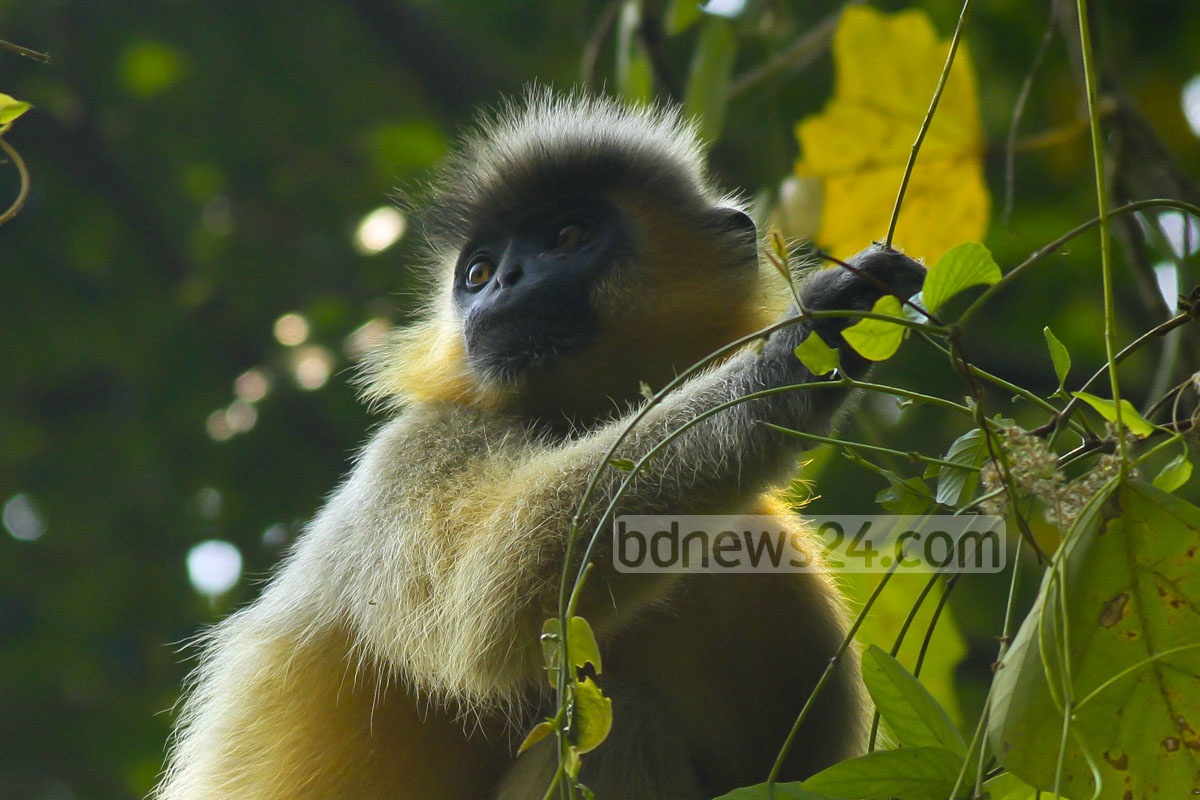 Yotganda yon tomonda jinsiy aloqa gif Qorqiz porno dan oral seks