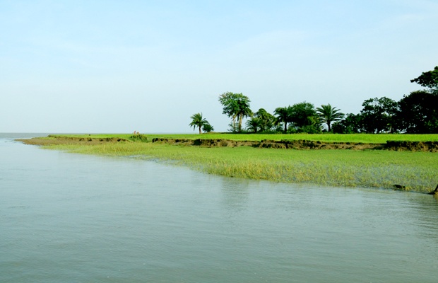 ইলিশবাড়ি চর পাতিলা