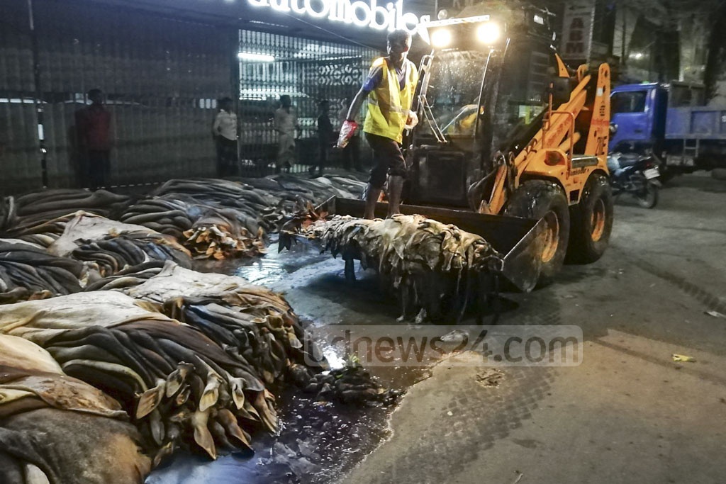 ১৩ অগাস্ট ২০১৯: বিক্রি করতে না পেরে চট্টগ্রামের মৌসুমি ব্যবসায়ীদের ফেলে দেওয়া কোরবানির পশুর চামড়া সরিয়ে নিচ্ছে সিটি কর্পোরেশনের কর্মীরা। চামড়া সঙ্কট এবছর ভুগিয়েছে অর্থনীতিকেও।  ১৩ অগাস্ট ২০১৯: বিক্রি করতে না পেরে চট্টগ্রামের মৌসুমি ব্যবসায়ীদের ফেলে দেওয়া কোরবানির পশুর চামড়া সরিয়ে নিচ্ছে সিটি কর্পোরেশনের কর্মীরা। চামড়া সঙ্কট এবছর ভুগিয়েছে অর্থনীতিকেও। 