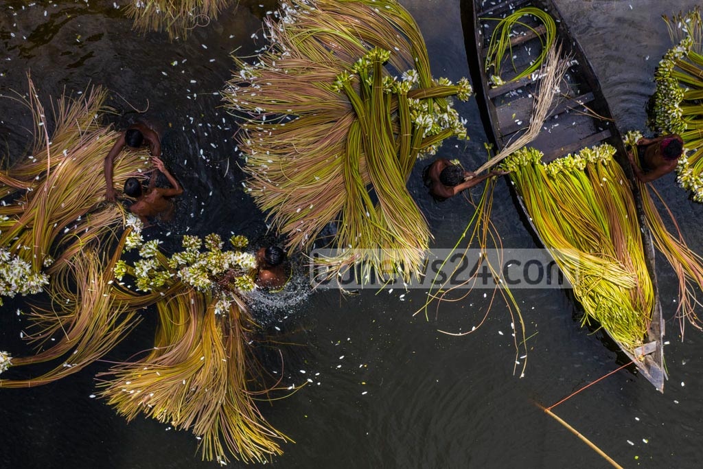 Yetuk jingalak eshak porno