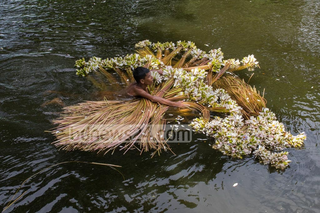 Netrebko kokrak qafasi