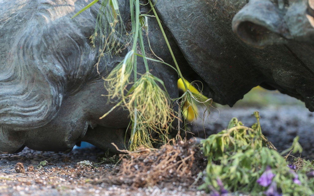 Statues of Queen Victoria, Queen Elizabeth II toppled in Canada